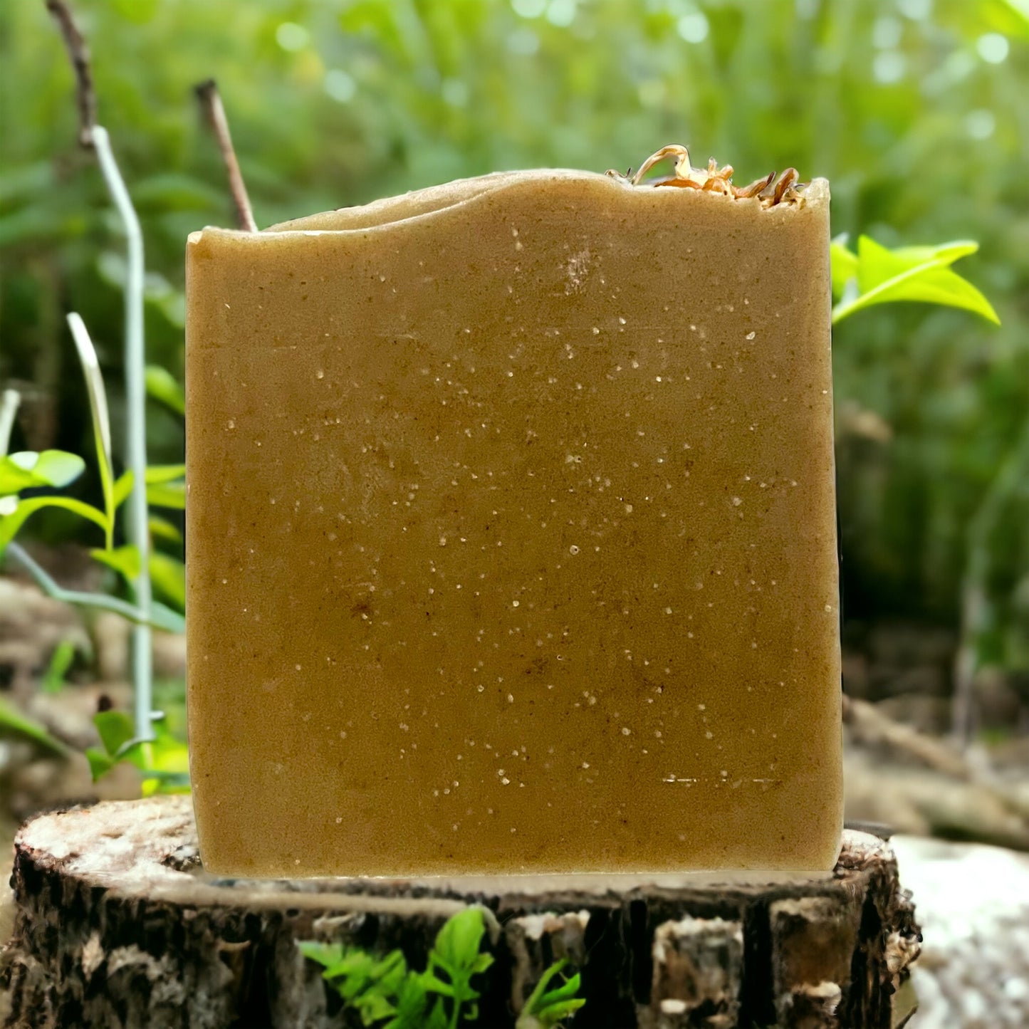 Moringa & Hemp Triple Butter Bar Soap