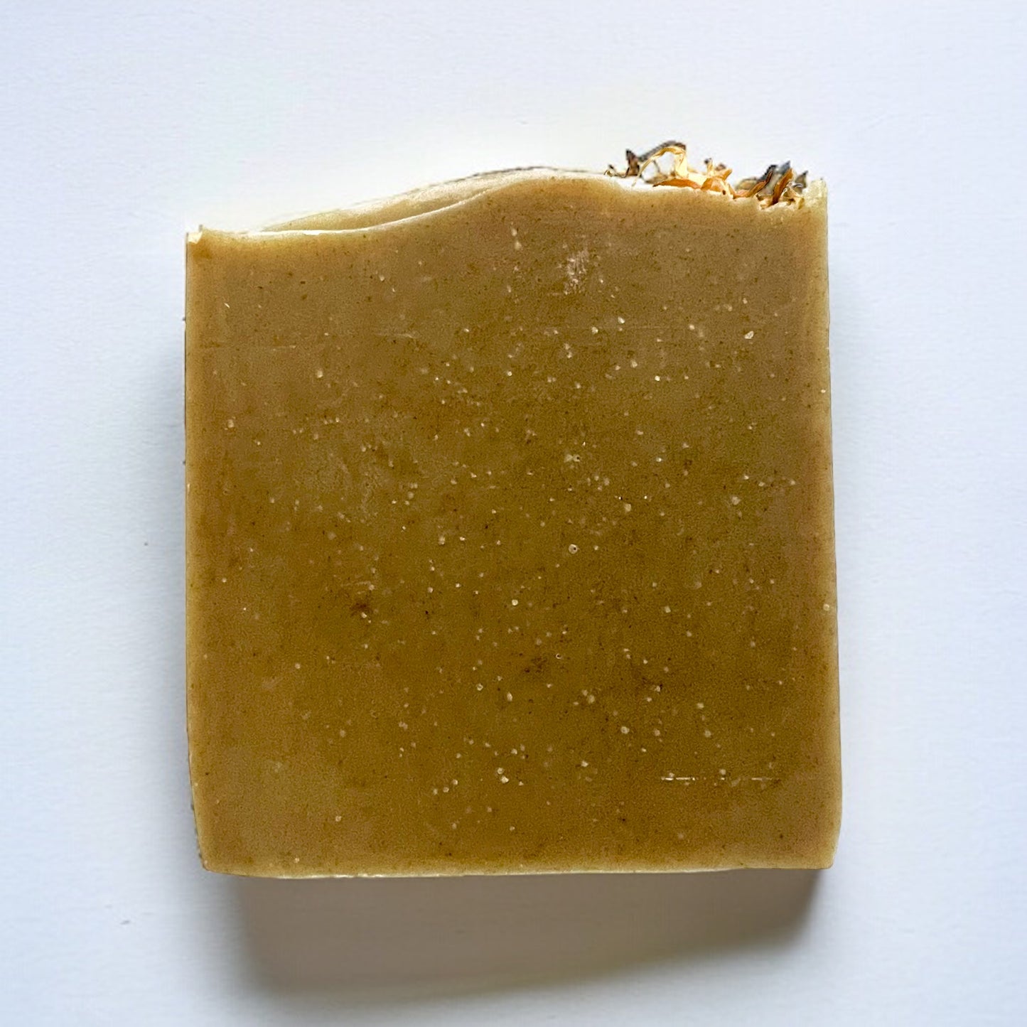 Moringa & Hemp Triple Butter Bar Soap