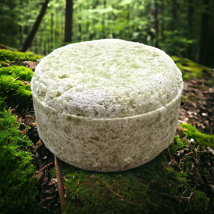 a round puck shaped green and white shampoo bar sits on the forest floor among moss and twigs, against a blurred forest background