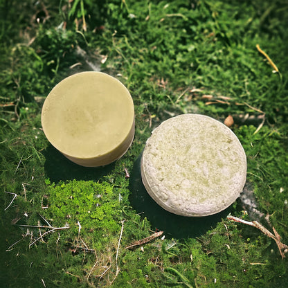 a green smooth conditioner bar sits to the left, with the puck shaped green and white shade bar sitting to the right. both bars sit on the forest floor in the grass. 