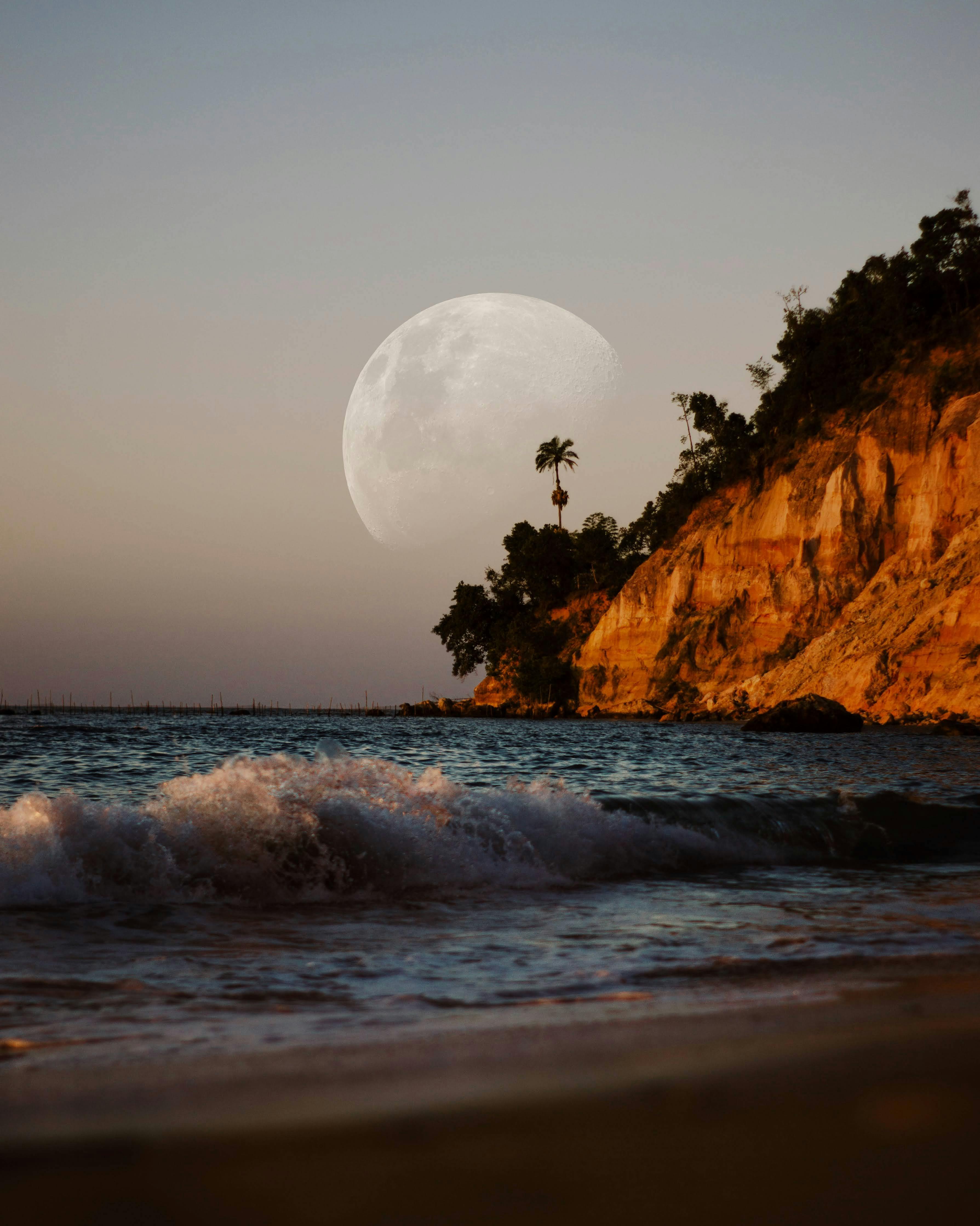 a photo of the ocean crashing into the beach with a ride behind it covered in palm trees and foliage. above one of the palm trees is the moon. it is close to dusk in the photo